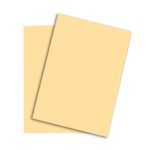 chamois